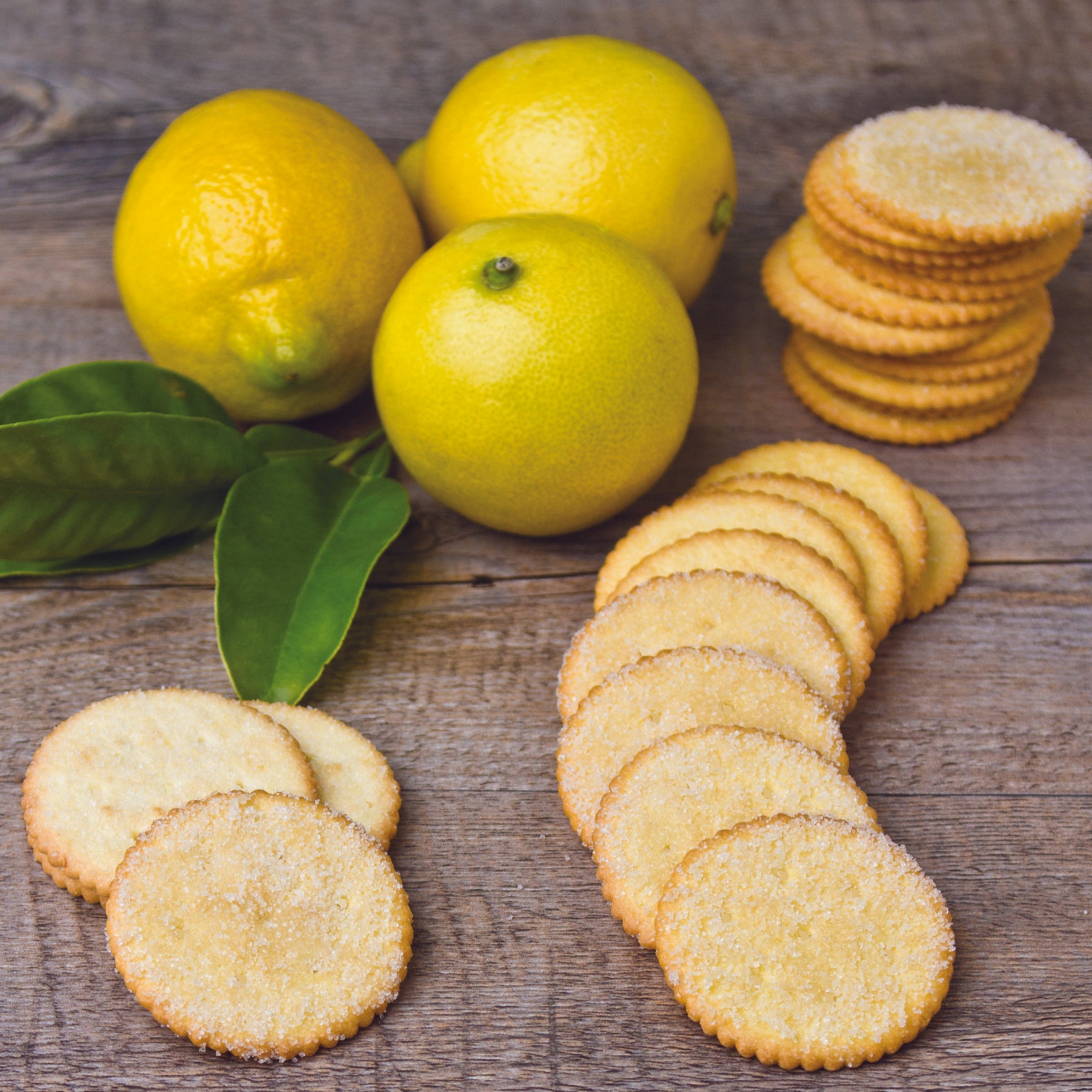 Mandy’s Cookie Thins - Zesty Lemon 4.6 oz tins